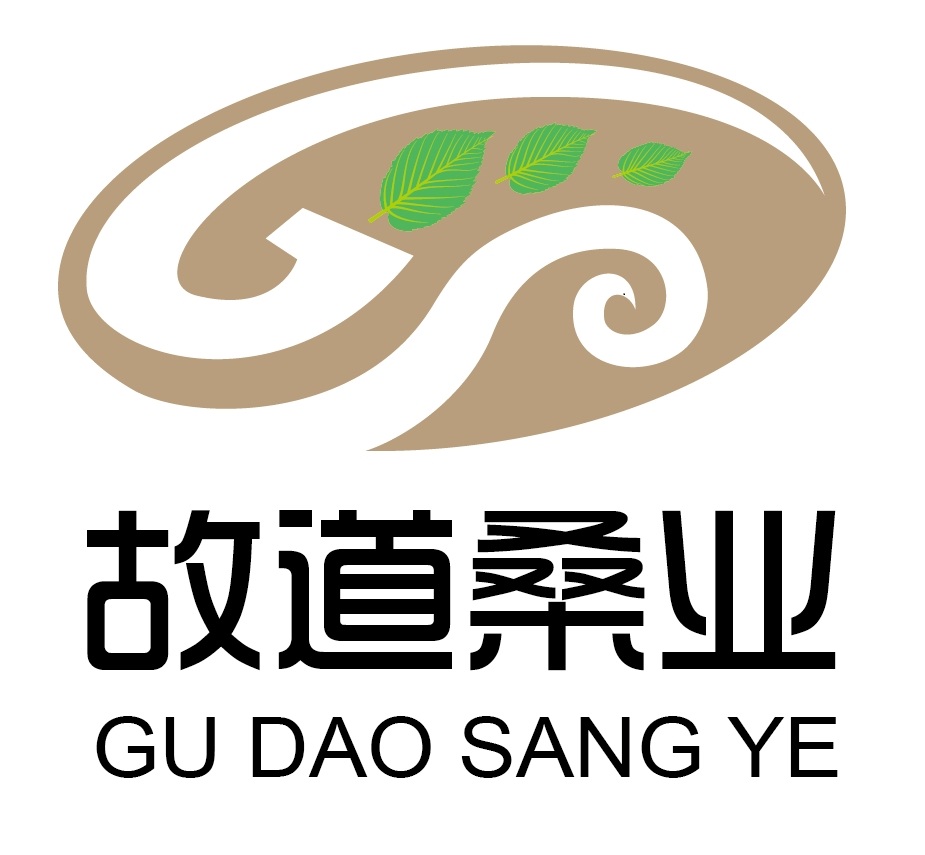 喝茶就可以防脫生發(fā)，太神奇了！桑葉養(yǎng)生茶